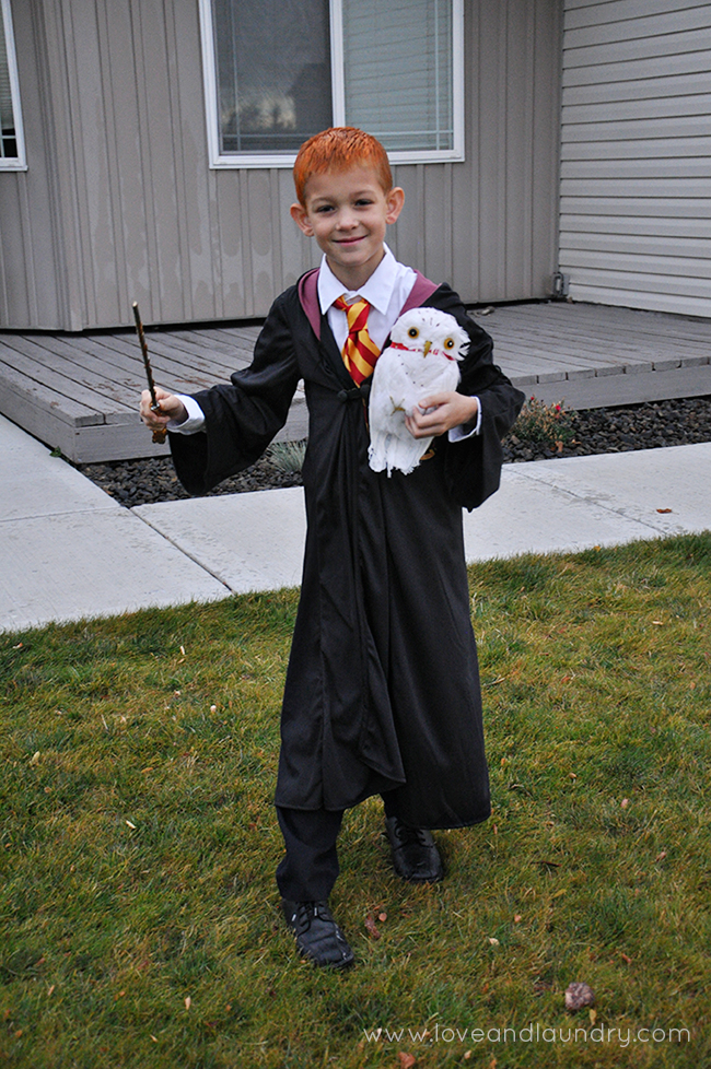 Harry Potter Family Halloween Costumes